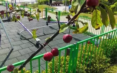 IMG_20250905_124941878_HDR_AE