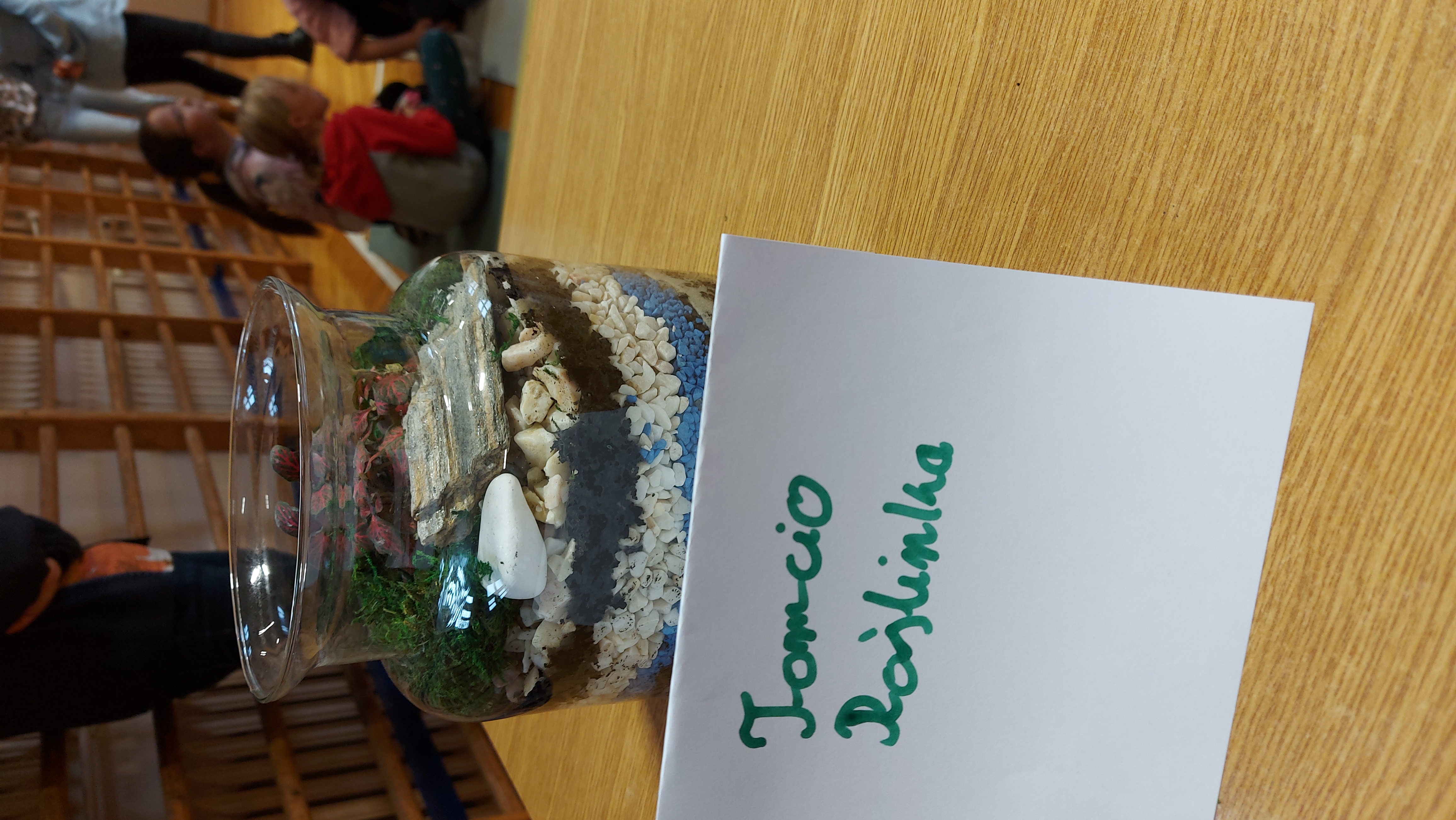 zdjęcia z warsztatów ogrodnictwa