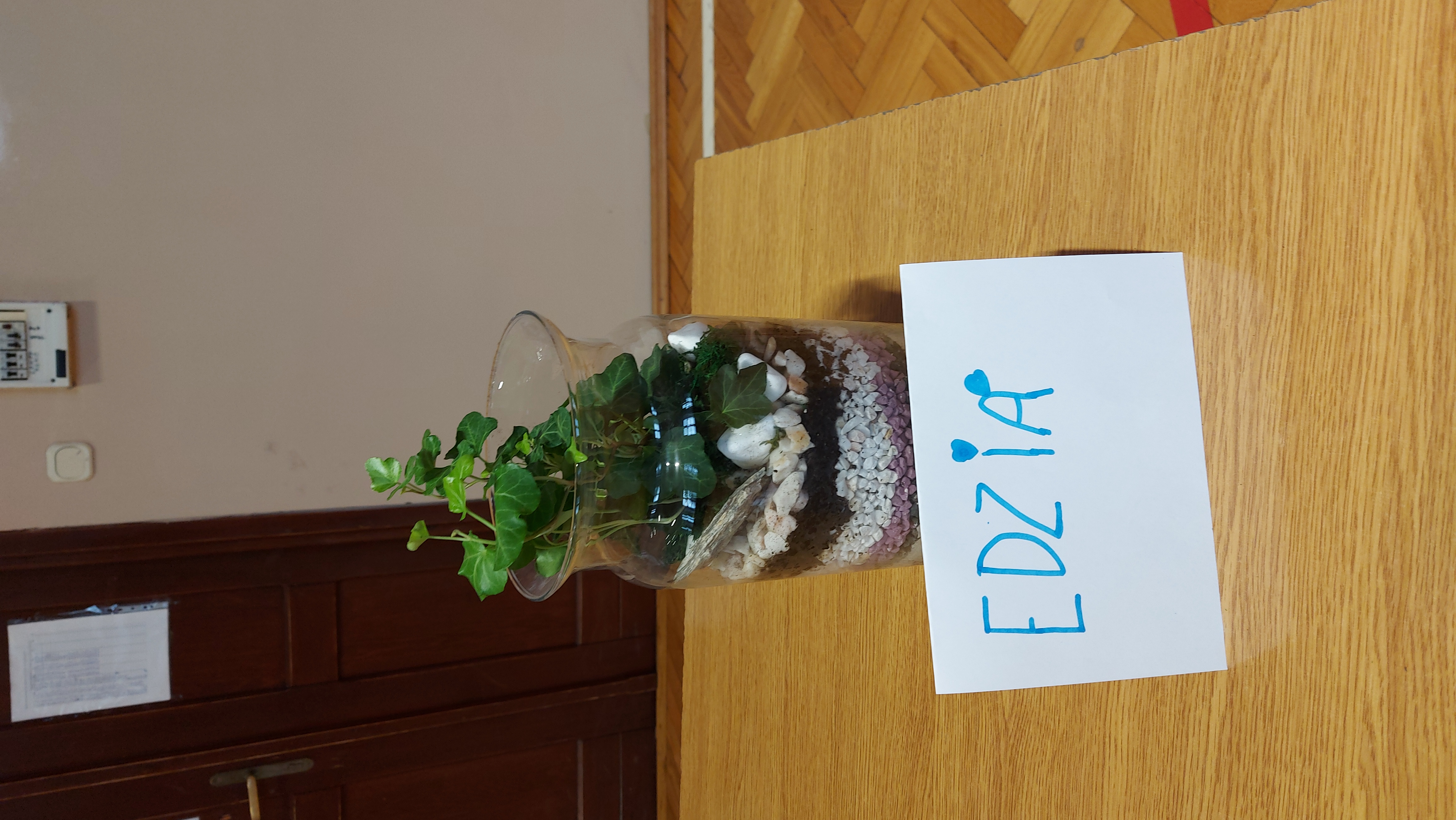 zdjęcia z warsztatów ogrodnictwa