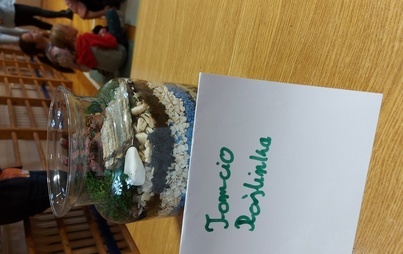 Zdjęcie do Warsztaty z ogrodnictwa